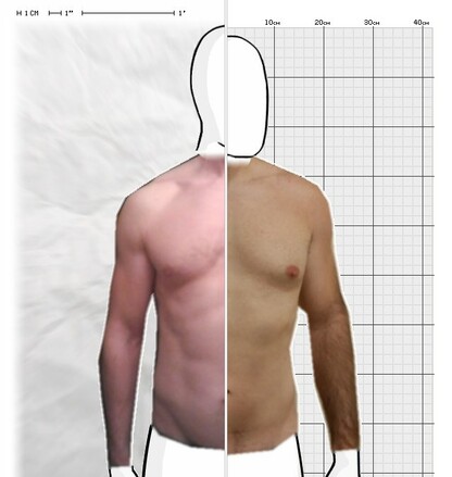 Torso Comparison