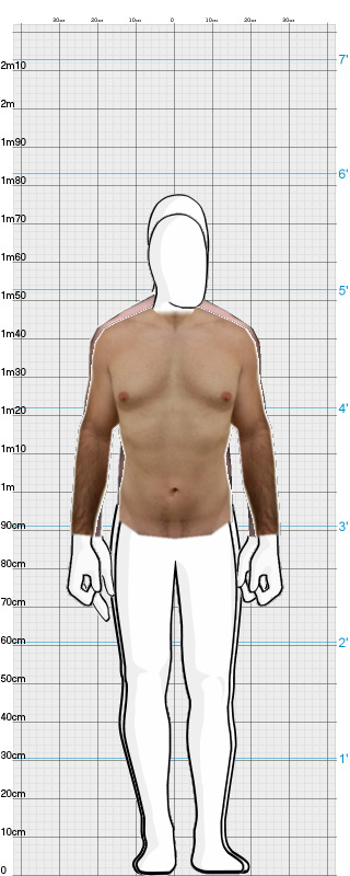 Full Size Comparison