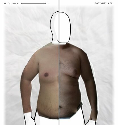 Torso Comparison