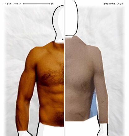 Torso Comparison