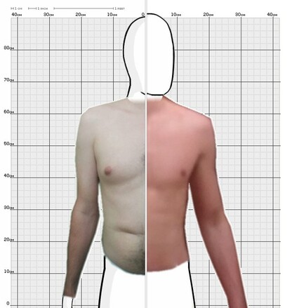 Torso Comparison