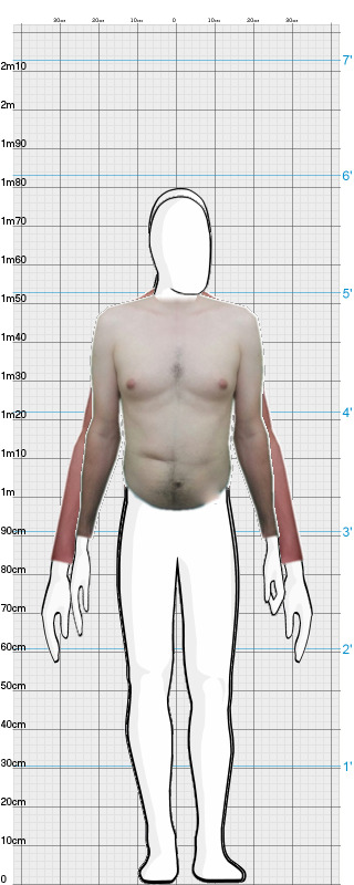 Full Size Comparison