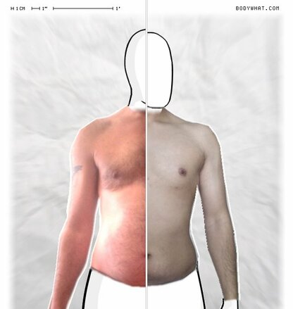 Torso Comparison