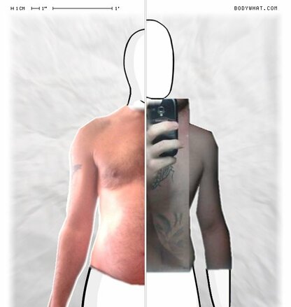 Torso Comparison