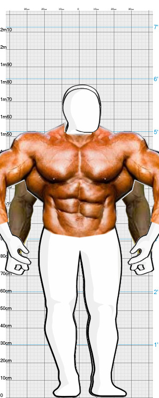 Full Size Comparison