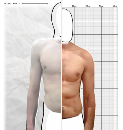 Torso Comparison