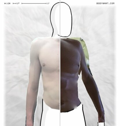 Torso Comparison