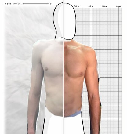 Torso Comparison