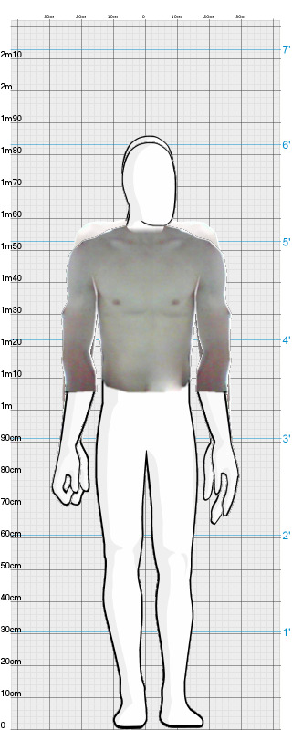 Full Size Comparison