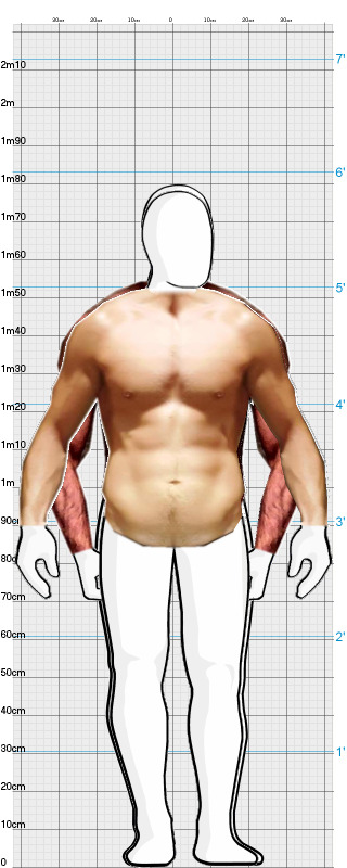 Full Size Comparison