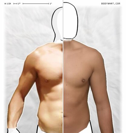 Torso Comparison