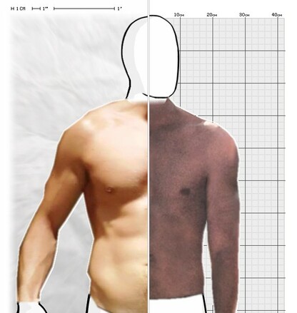 Torso Comparison