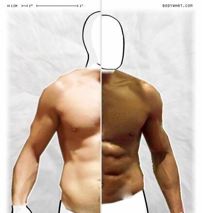 Torso Comparison