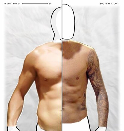 Torso Comparison