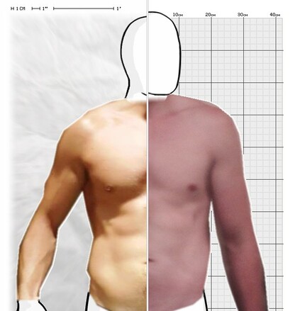 Torso Comparison