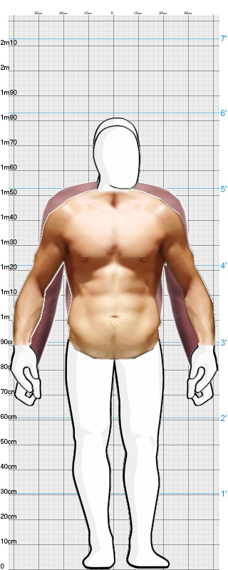 Full Size Comparison