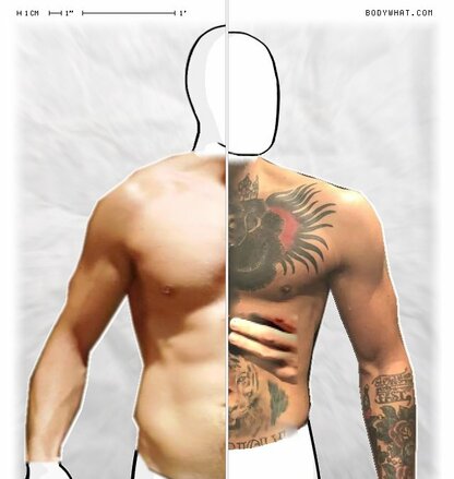 Torso Comparison