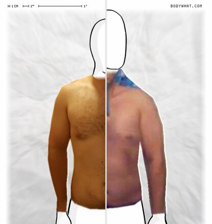 Torso Comparison