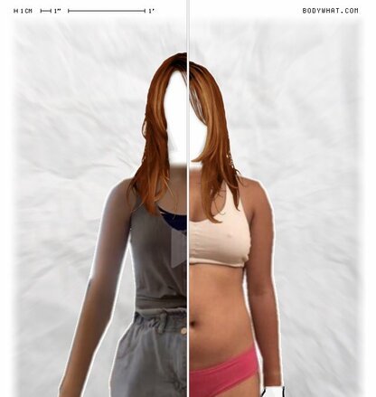 Torso Comparison