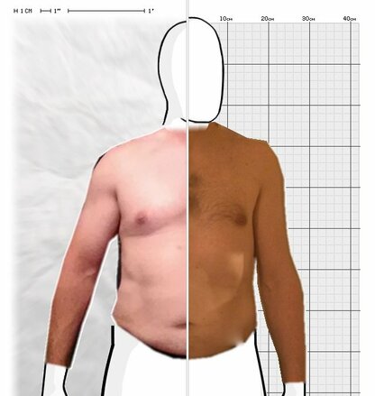 Torso Comparison