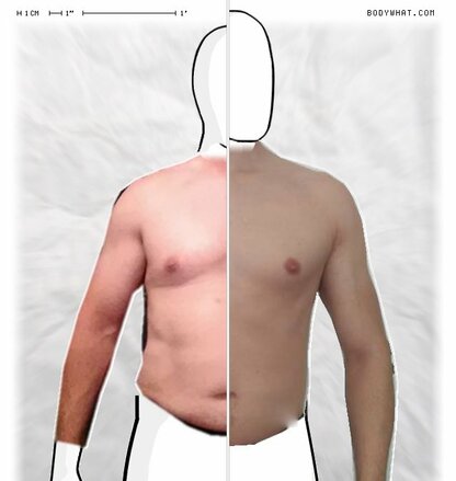 Torso Comparison