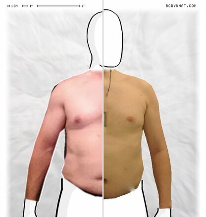 Torso Comparison