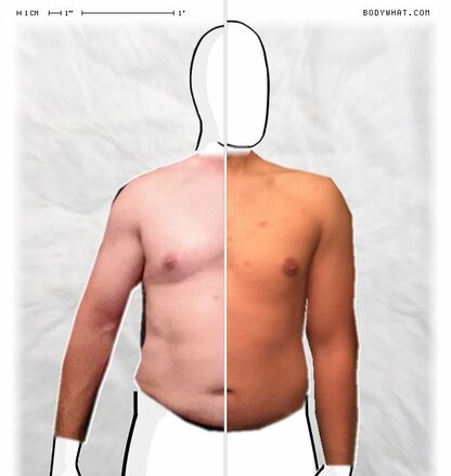 Torso Comparison