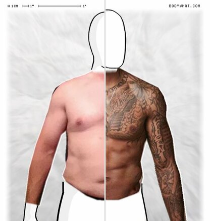 Torso Comparison