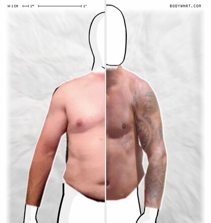 Torso Comparison