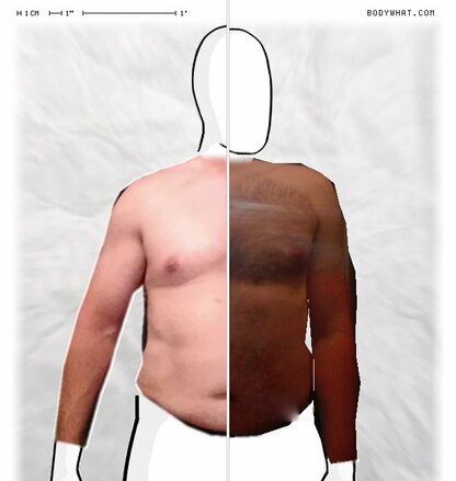 Torso Comparison