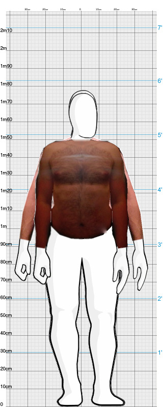 Full Size Comparison