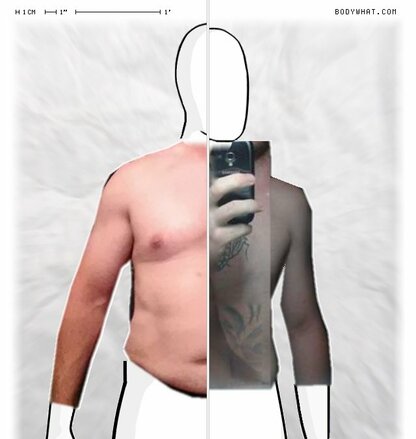 Torso Comparison