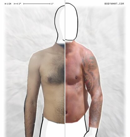 Torso Comparison