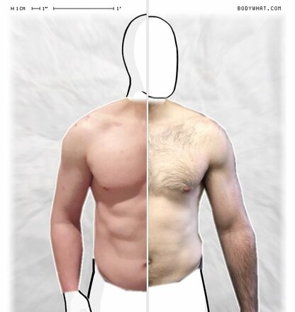 Torso Comparison