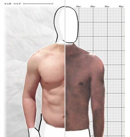 Torso Comparison