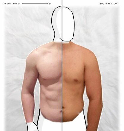 Torso Comparison