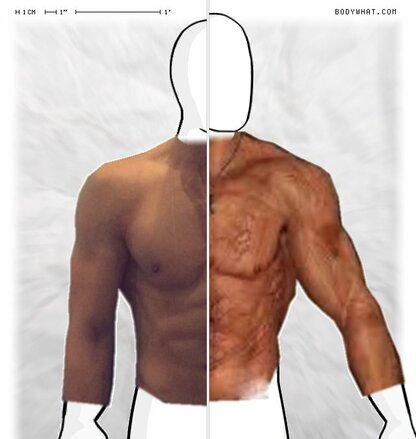 Torso Comparison