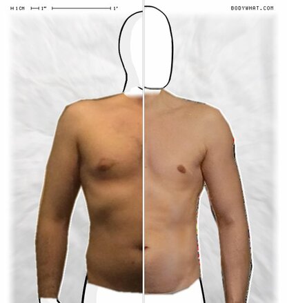 Torso Comparison