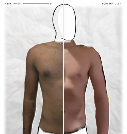 Torso Comparison