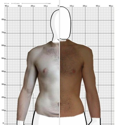 Torso Comparison