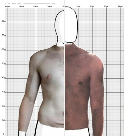 Torso Comparison