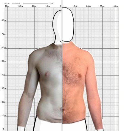 Torso Comparison