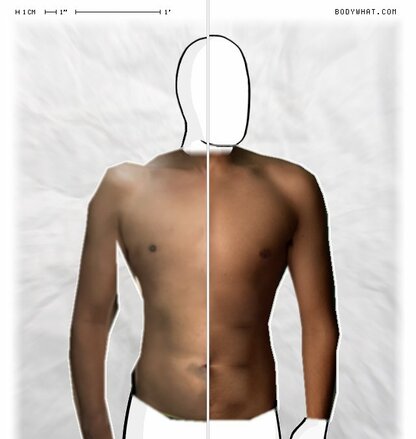 Torso Comparison