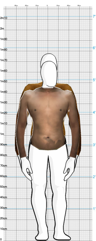 Full Size Comparison