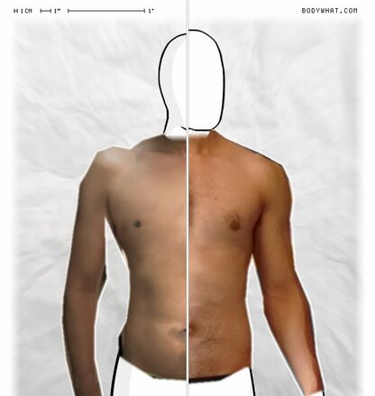Torso Comparison