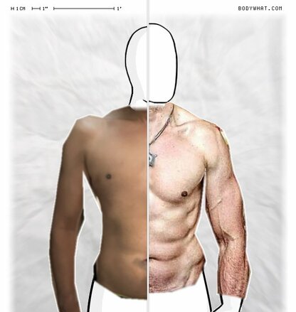 Torso Comparison