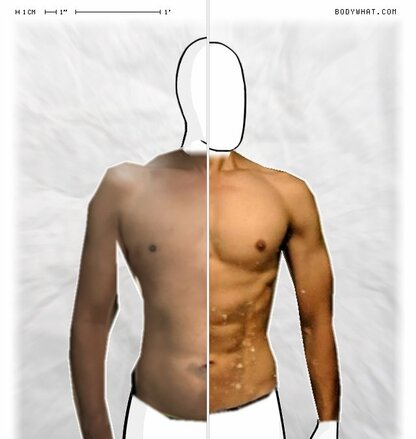 Torso Comparison