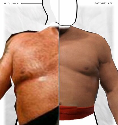 Torso Comparison