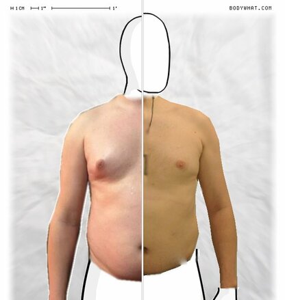 Torso Comparison