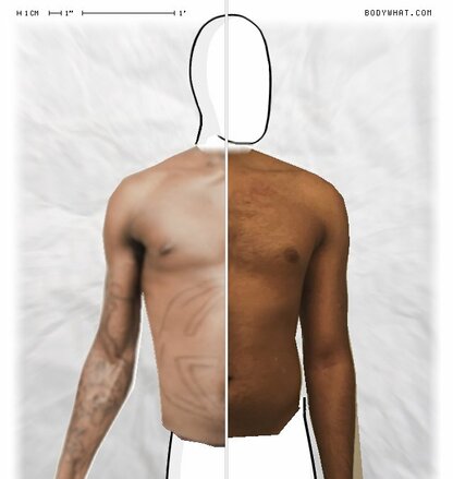 Torso Comparison